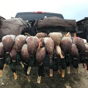 Meet your Posher, Kaleb